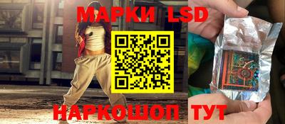 стаф Можга