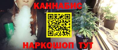 стаф Можга