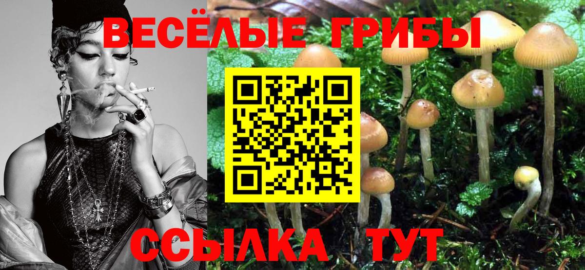 Вольск  Галлюциногенные грибы ЛСД  Вход с VPN  Псилоцибиновые грибы Psilocybine cubensis 