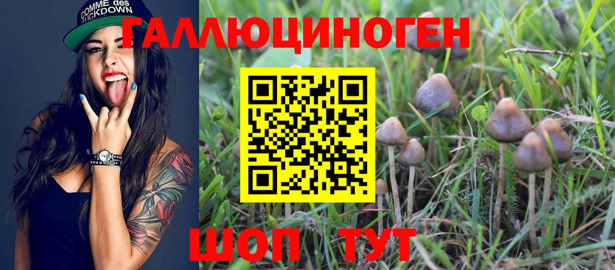 Псилоцибиновые грибы Magic Shrooms Вольск